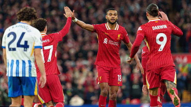 把这两场冷 把这两场冷